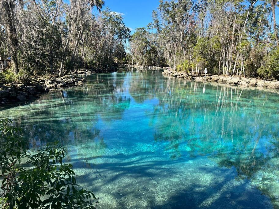 Vila House Of Manatees-Entire House With Yard, Fire Pit, Dog Friendly Crystal River Exteriér fotografie