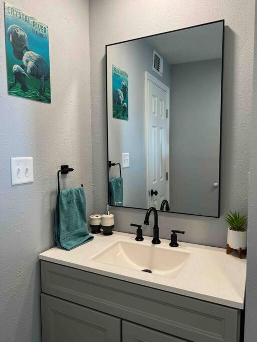 Vila House Of Manatees-Entire House With Yard, Fire Pit, Dog Friendly Crystal River Exteriér fotografie